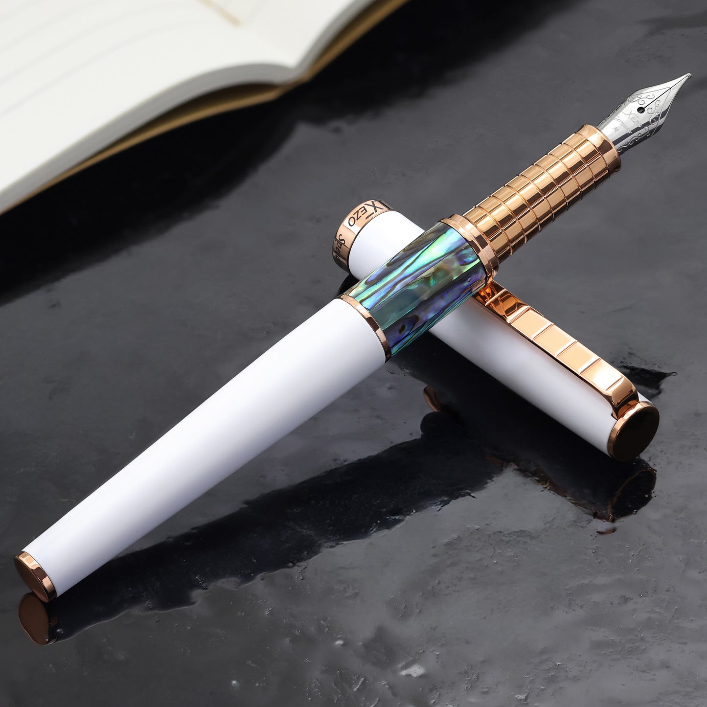 Speed Master White FM-ARG Fountain pen with a book