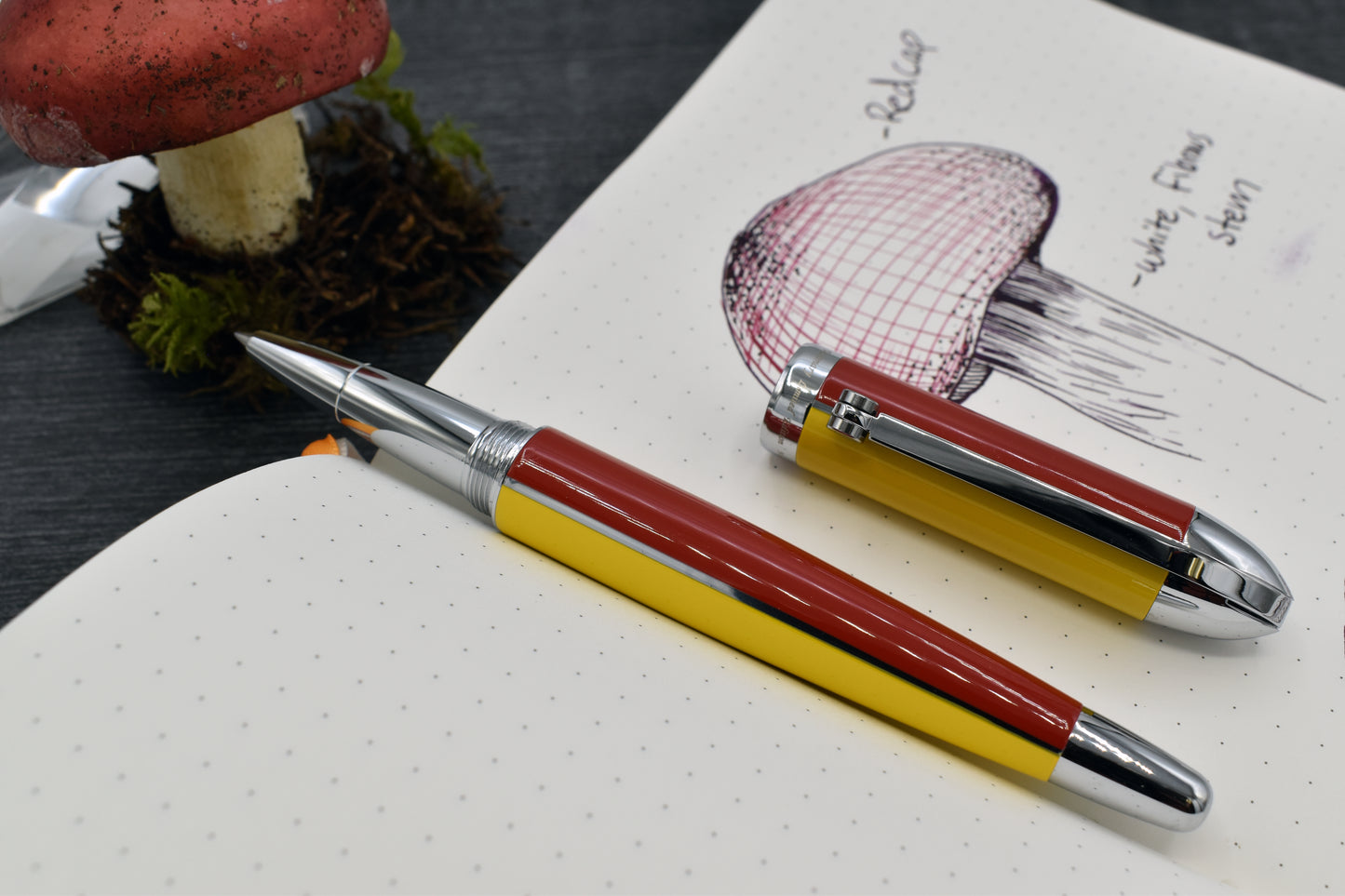 Visionary Aspen/Red R Rollerball pen with whimsical red mushroom and sketchbook