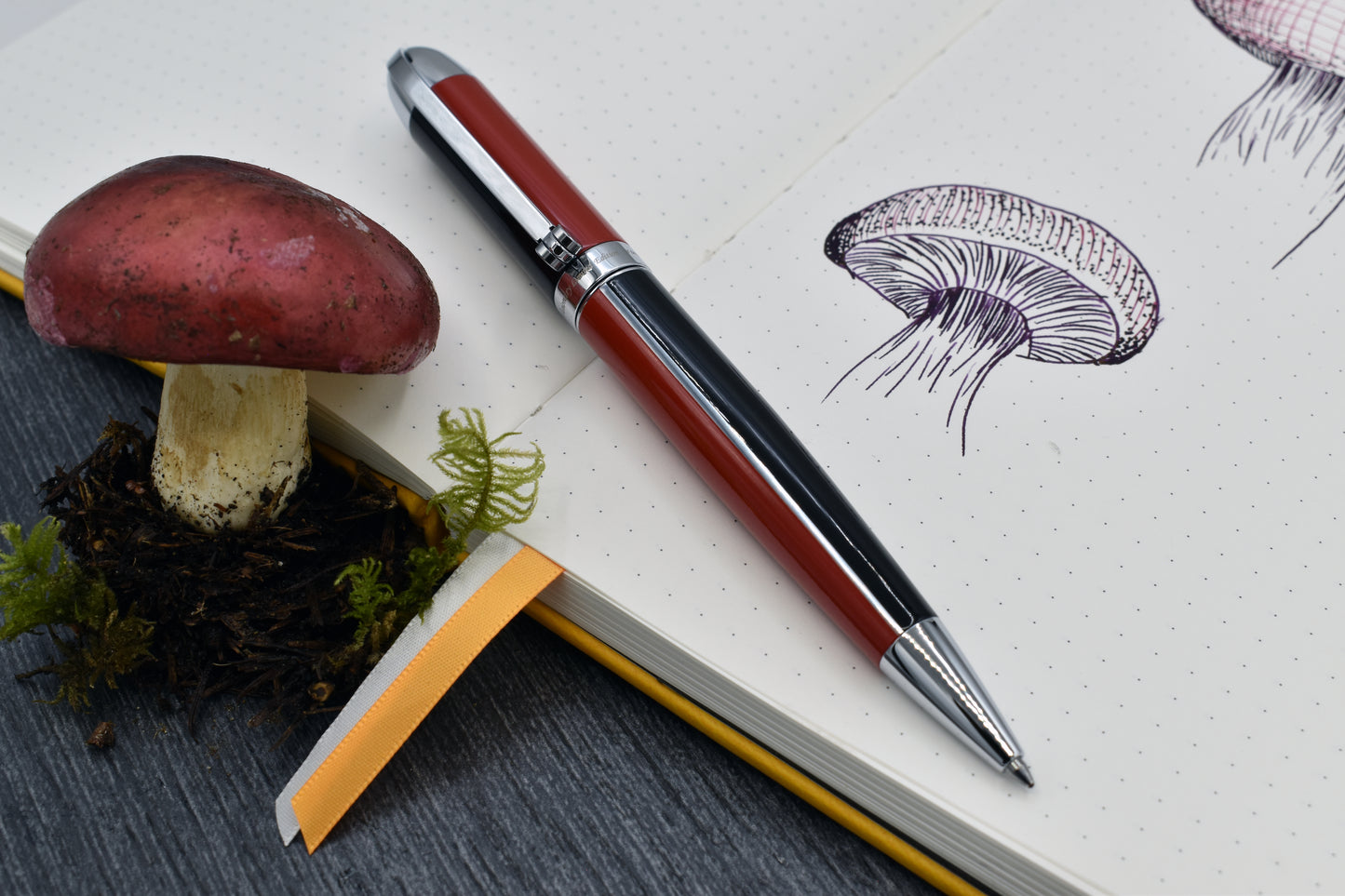 Visionary Red/Black R Rollerball pen with whimsical red mushroom and sketchbook
