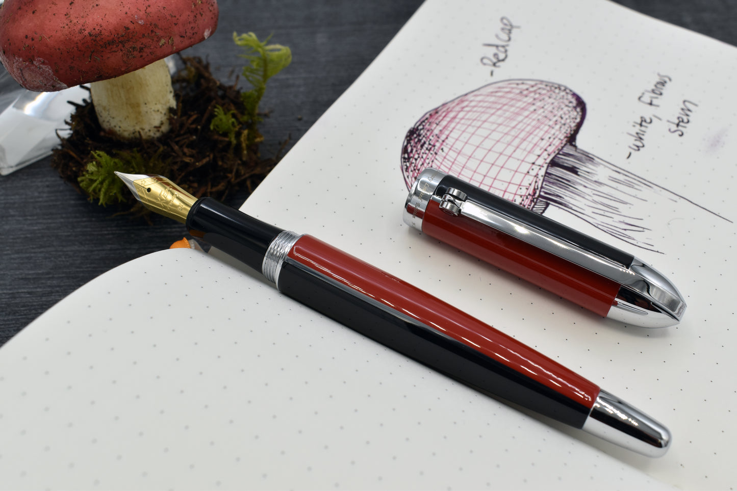 Visionary Red/Black FM Fountain pen with whimsical red mushroom and sketchbook