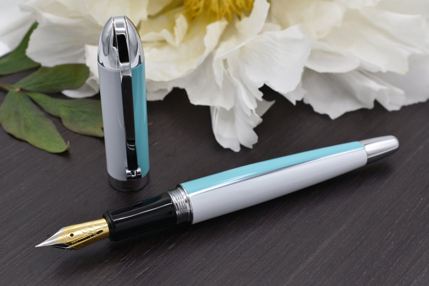 Visionary Sky Blue/White FM Fountain pen with a peony flower