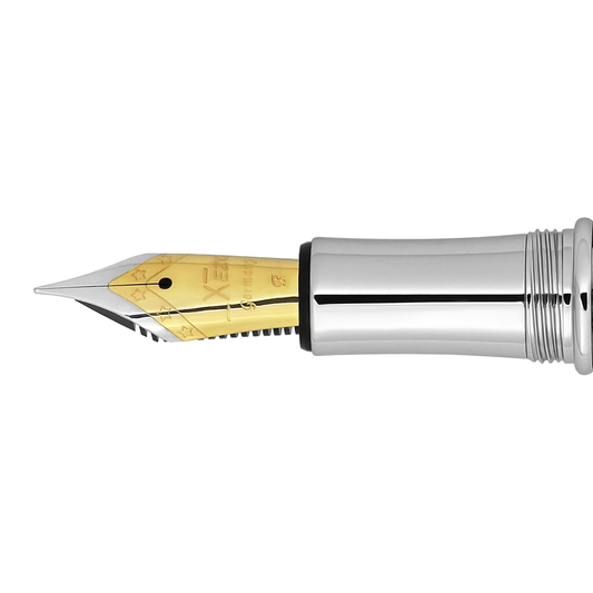 Fine Nib - Maestro Pens (Chrome-Plated Grip)