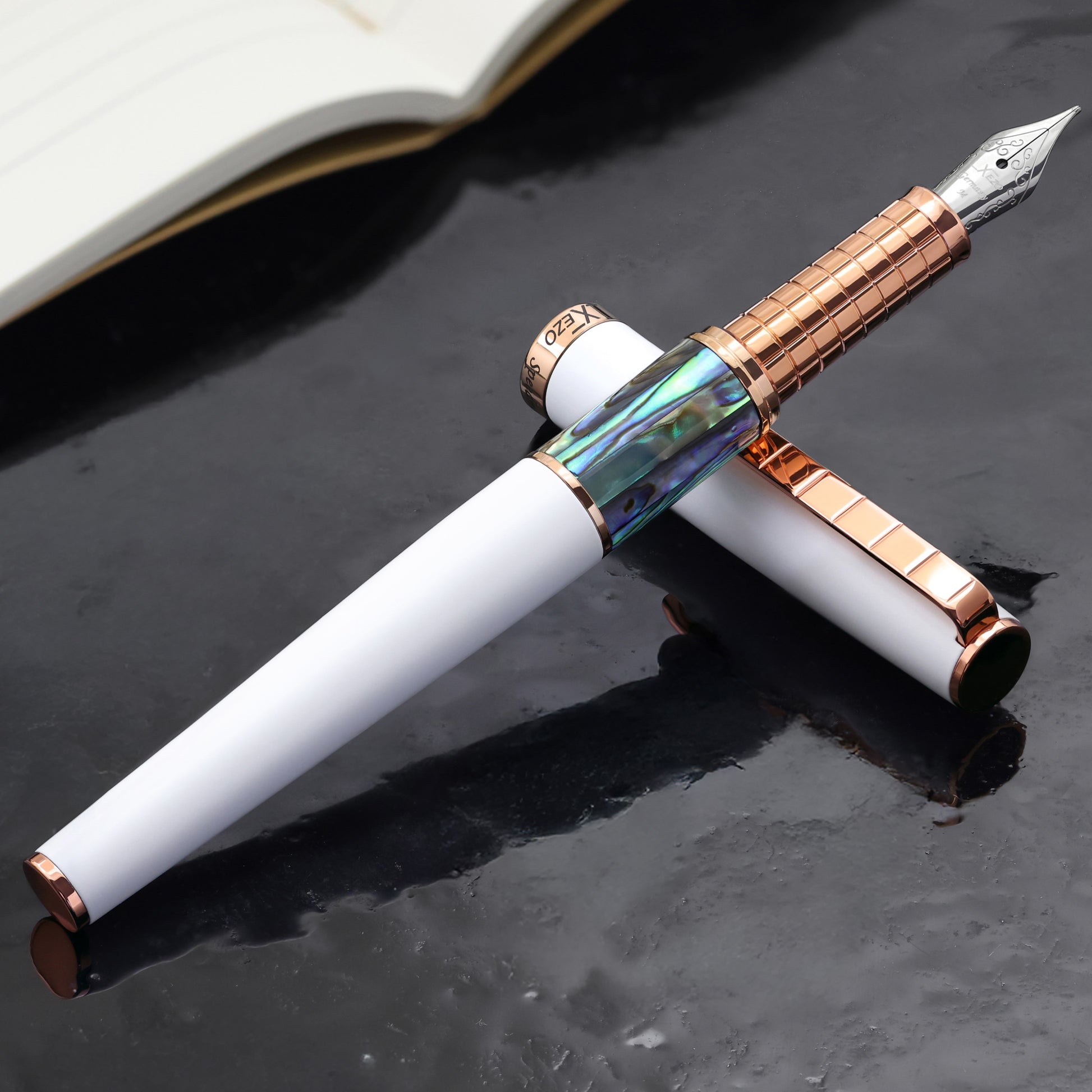 Speed Master White FM-ARG Fountain pen with a book