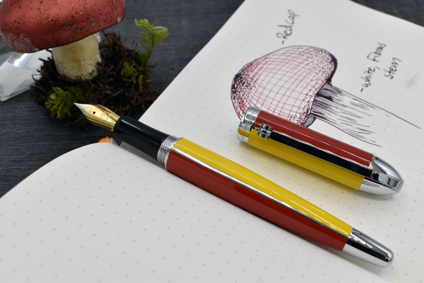 Visionary Aspen/Red F Fountain pen with whimsical red mushroom and sketchbook