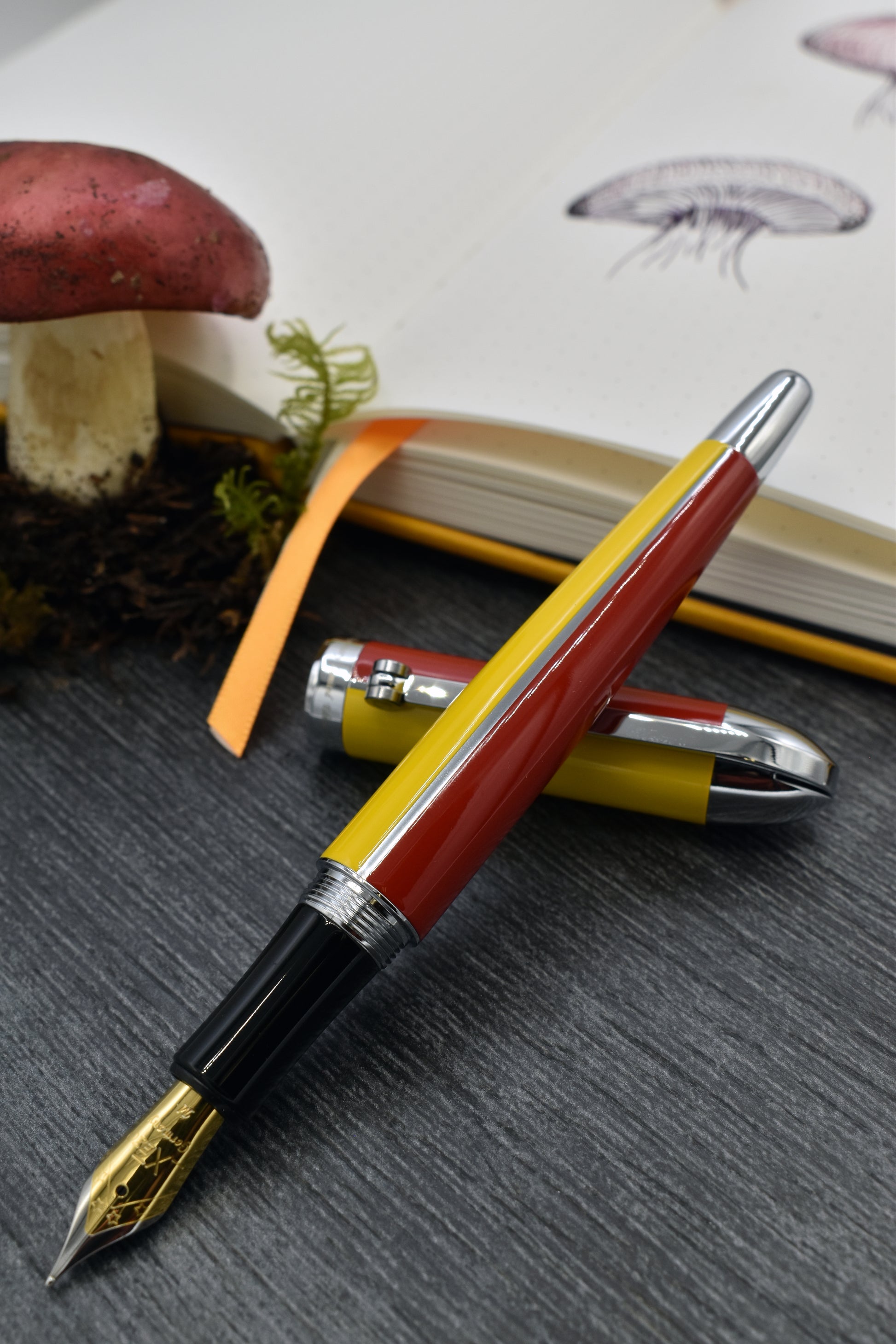 Visionary Aspen/Red F Fountain pen with whimsical red mushroom and sketchbook