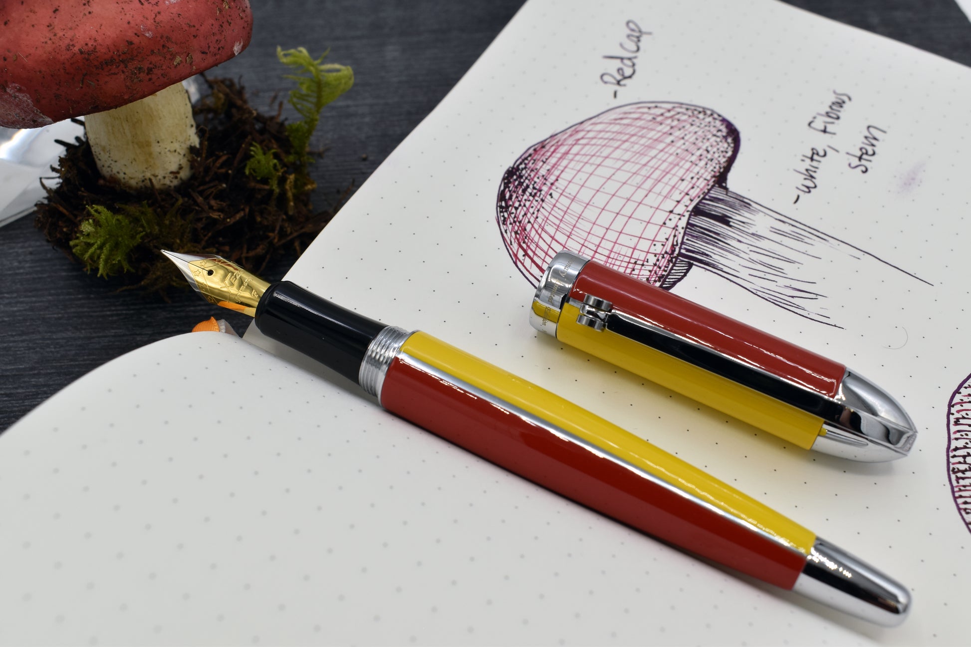 Visionary Aspen/Red F Fountain pen with whimsical red mushroom and sketchbook with mushroom sketch